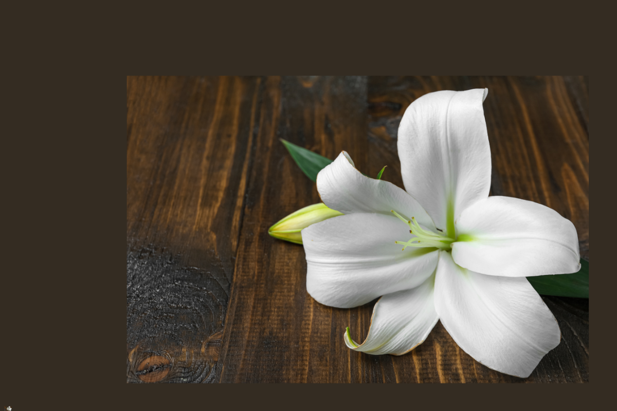 Telford Bereavement Group Image