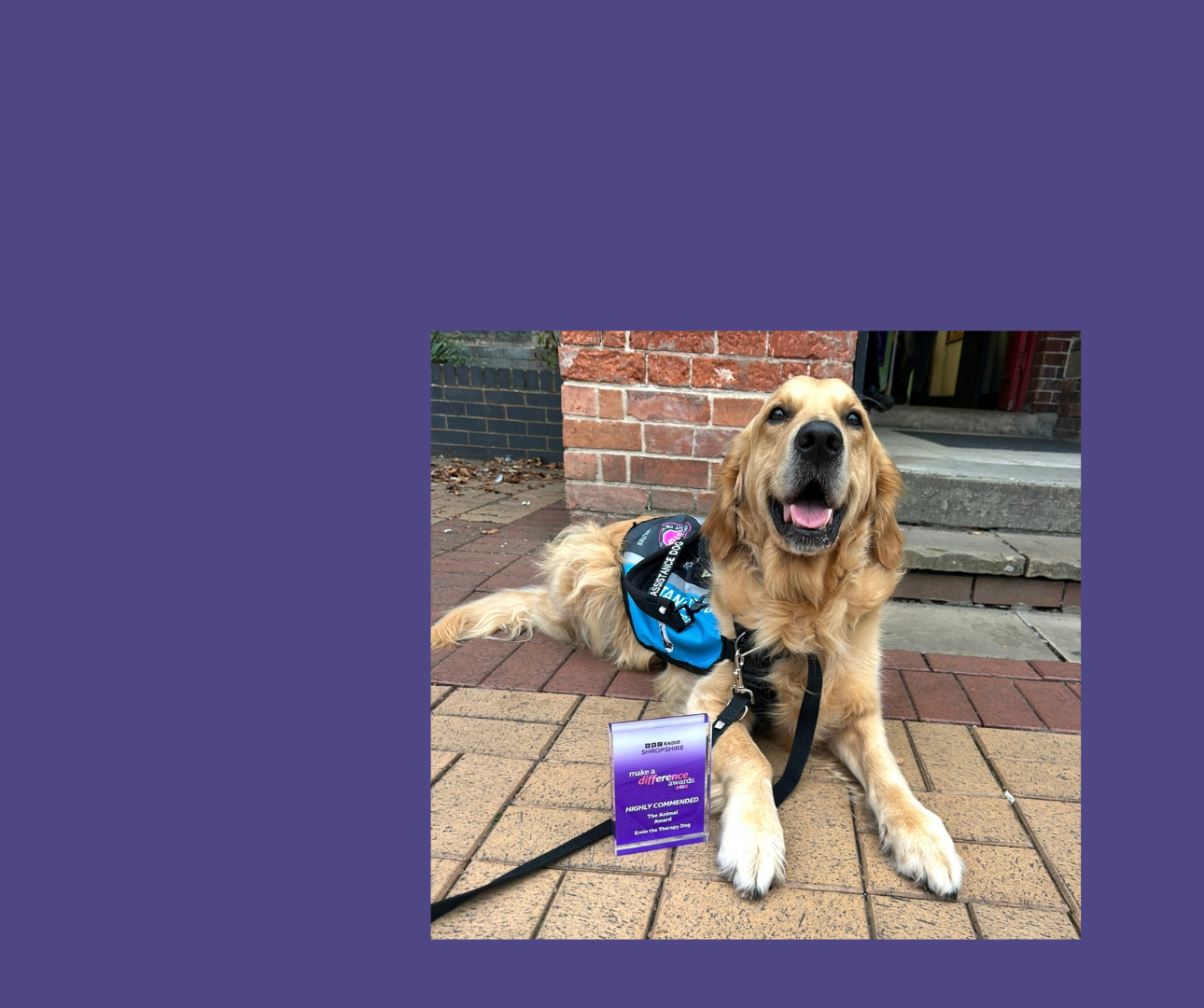 Ernie the therapy dog honoured in BBC’s Make a Difference Awards Image
