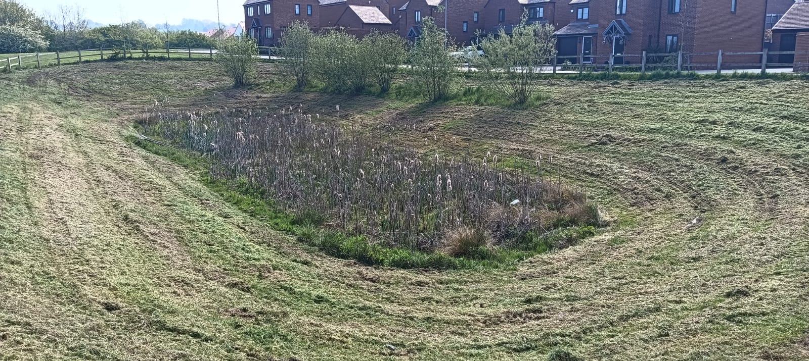 Looking after Sustainable Urban Drainage Systems Image